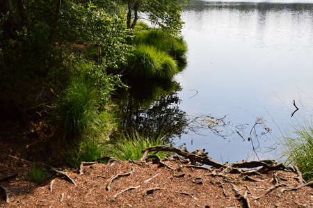 Bottomless Lake, Walsrode, Lower Saxony