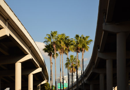 Freeway ramp in Downtown Tampa at the Gulf of Mexico, Florida