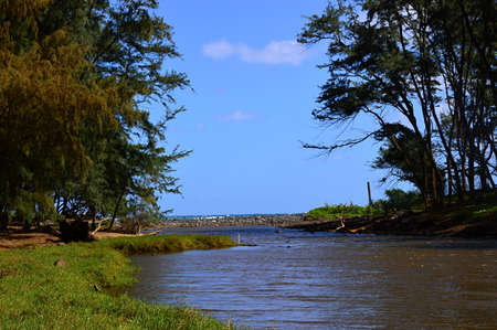 Coast at the Pacific on Big Island, Kohala, Hawaiiの写真素材