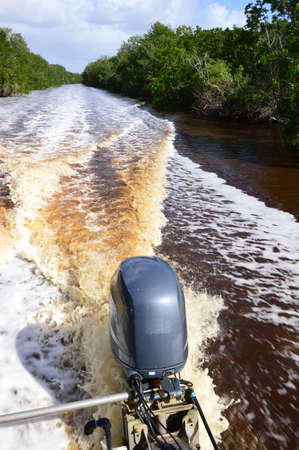 Motor engine in Everglades National Park, Floriga