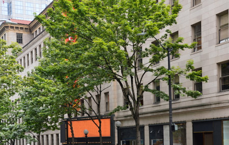 Street scene in downtown Seattle, Washington