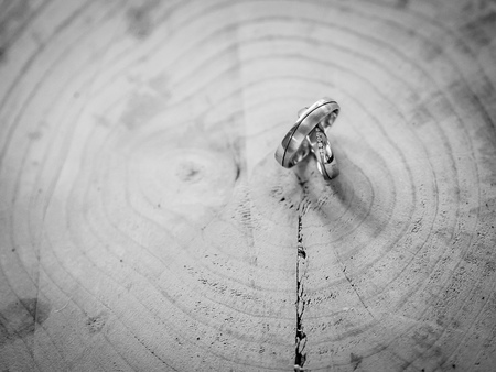 wedding rings in black and whiteの写真素材