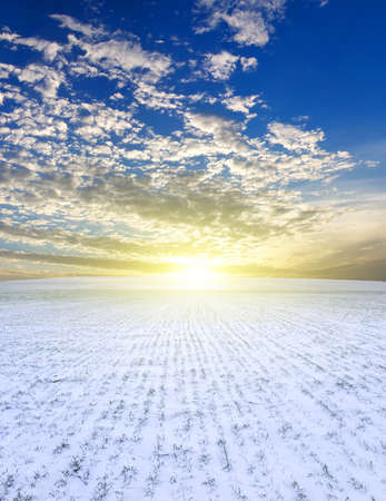 Snow plain during sundown  Beautiful landscapeの写真素材