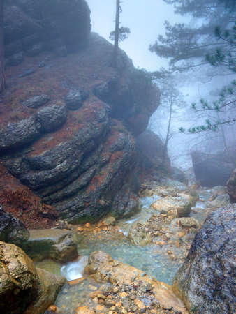 Misty canyonの写真素材