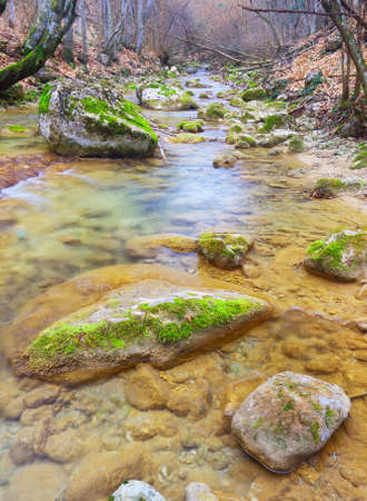River in the autumn forestの写真素材