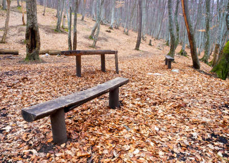 Bench in the canyon at the autumn timeの写真素材