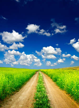 Rural road on the field and cloudsの写真素材