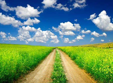 Rural road on the field and cloudsの写真素材
