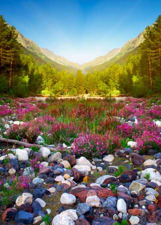 Color stones in the canyonの写真素材