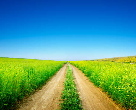 Rural road on the field and cloudsの写真素材