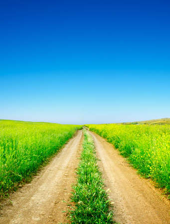 Rural road on the fieldの写真素材