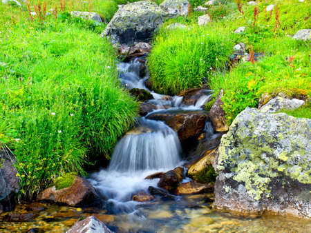 River amond stones and grassの写真素材