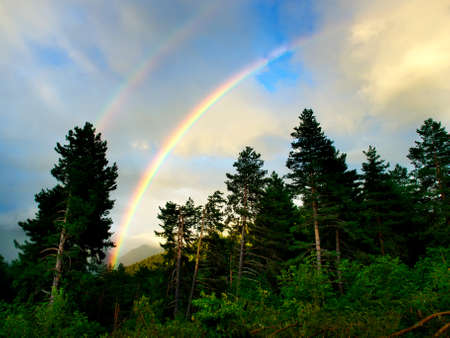 Rainbow and forest  Beautiful landscapeの写真素材