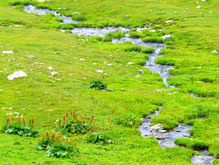 Creek on the field の写真素材