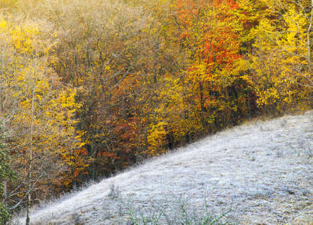 Frosty hill and autumn forestの写真素材