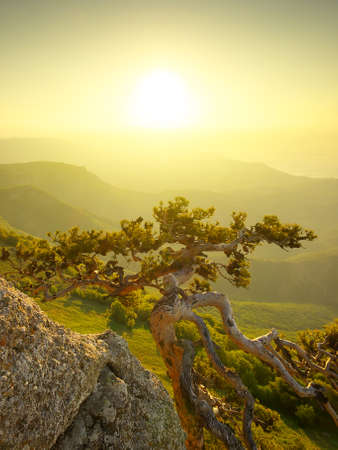 Mountains in summer time  Beautiful natural landscapeの写真素材