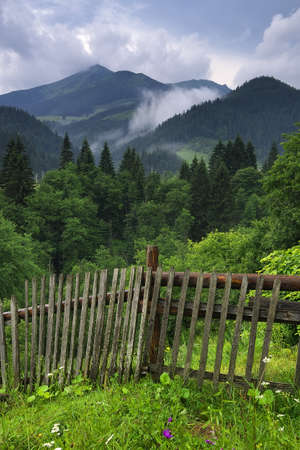 Cloudscape in mountain valley. Beautiful natural landscapeの写真素材