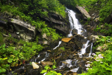 Waterfall among jungle. Beautiful summer landscapeの写真素材