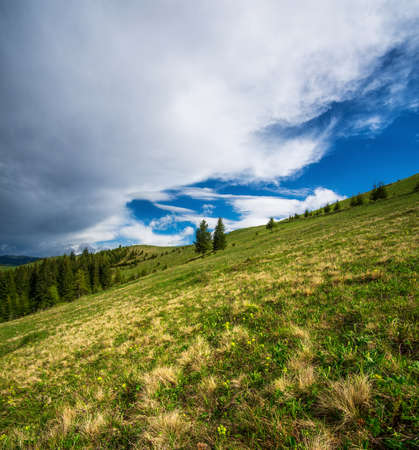 Green hills in mountain valley. Summer landscape