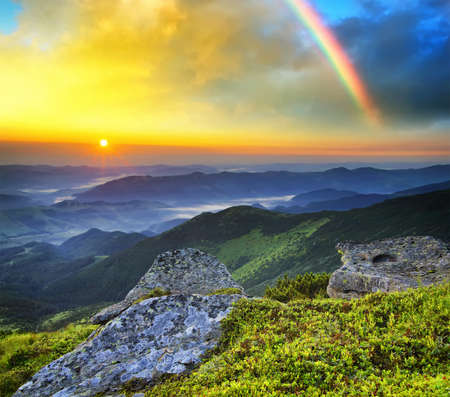 Grass on mountain hill during sundown. Beautiful summer landscapeの写真素材