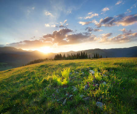 Sunset in the mountain valley. Beautiful natural landscape in the summer timeの写真素材