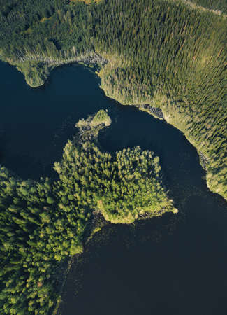 River in the forest. Aerial landscape from droneの写真素材