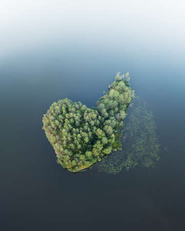 Island on the lake. Aerial landscape from drone