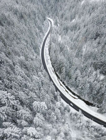 Winter landscape from air. Forest and river in the winter mountain valley