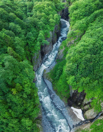 Aerial view on the forest and river. Beautiful natural landscape at the summer timeの写真素材