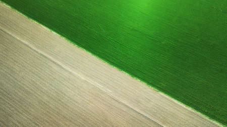 Field as a background. Agricultural landscape from airの写真素材
