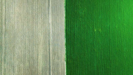 Field as a background. Agricultural landscape from air