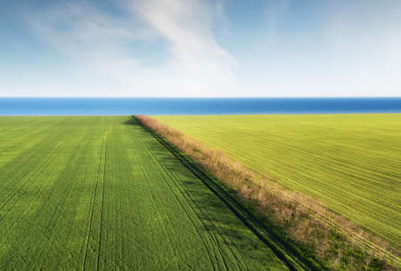 Field and sea as a background. Agricultural landscape from airの写真素材