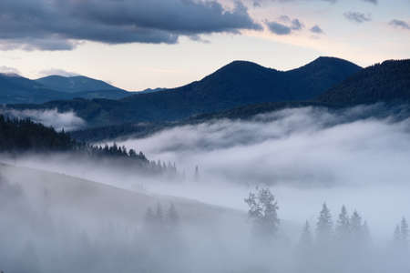 Mountain valley in the mist. Beautiful natural landscape at the summer time during sunriseの写真素材