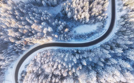 Aerial view on the road and forest at the winter time. Natural winter landscape from air. Forest under snow a the winter time. Landscape from droneの写真素材