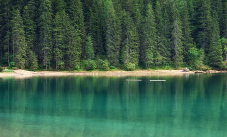 Landscape in the Switzerland. Forest and lake. Reflection on the water surface. Natural lndscape at the summer time. Switzerland - imageの写真素材