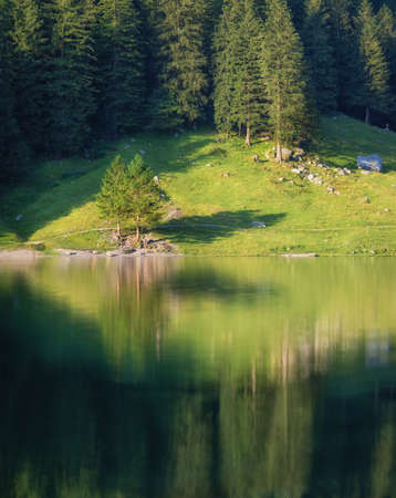 Landscape in the Switzerland. Forest and lake. Reflection on the water surface. Natural lndscape at the summer time. Switzerland - imageの写真素材