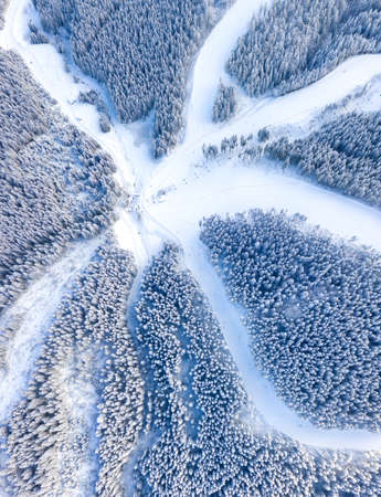 Aerial view at the slope on ski resort. Forest and ski slope from air. Winter landscape from a drone. Snowy landscape on the ski resort. Aerial photographyの写真素材