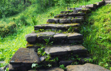 Stair of stones. Decorative element in the garden. Design and architecture. Stairs-image.