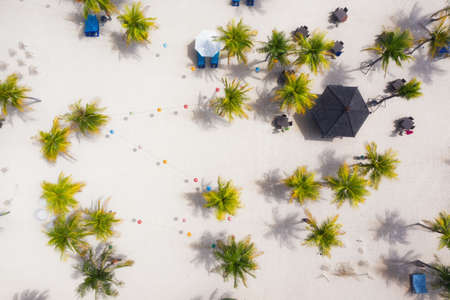 Palm trees as a background from top view. Beach and sand background from top view. Summer seascape from air. Bali island, Indonesia. Travel - imageの写真素材
