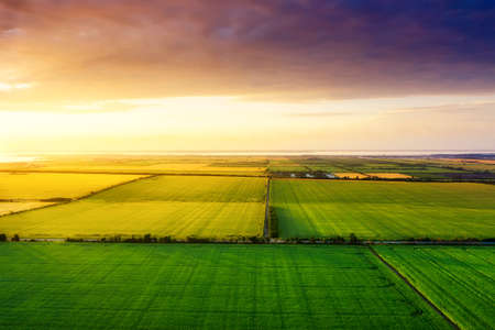 Aerial view on the field during sunset. Landscape from drone. Agricultural landscape from air. Agriculture - imageの写真素材