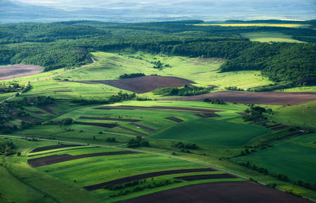 View on the field from the air. Agricultural landscape at the summer time. Composition from the...