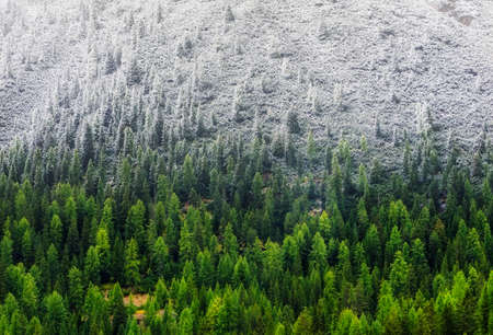 Mountain panorama in Dolomite Alps, Italy. Forest and mountains between autumn and winter time. Natural landscape in the Italy mountains.の写真素材