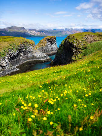 Seashore in Iceland. High rocks and grass at the day time near sea. Natural landscape at the summer....