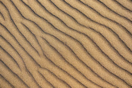 The sand dunes during sunset as a background. Summer composition in the desert. Hot weather. Lines in the sand.の写真素材