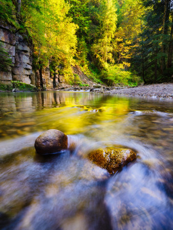 A river in a canyon. The forest during sunset. A natural landscape in the summertime.の写真素材