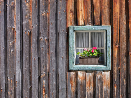 Window in the wall and potted flowers. Vintage interior and exterior design of a house. Wooden walls made of boards. Large resolution photo for design.の写真素材