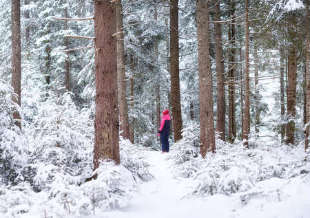 Girl walking in the winter woods. Landscapes in Switzerland. Winter landscape as a background.の写真素材