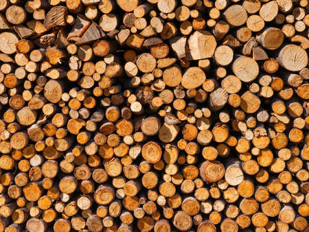 Logs as a background. Texture of natural wood. Large resolution photo for the design.