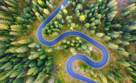 Natural landscape from air. Aerial view on the road and forest at the autumn time. An aerial summer...