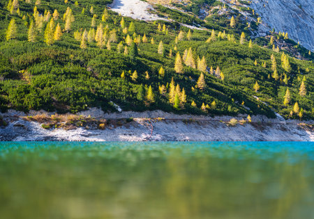 Mountains with forest and reflection on the surface of the lake. Landscape in the highlands during...